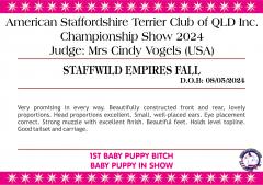11.08.24 | ASTCQ Championship Show | Judge: Cindy Vogels (USA)
